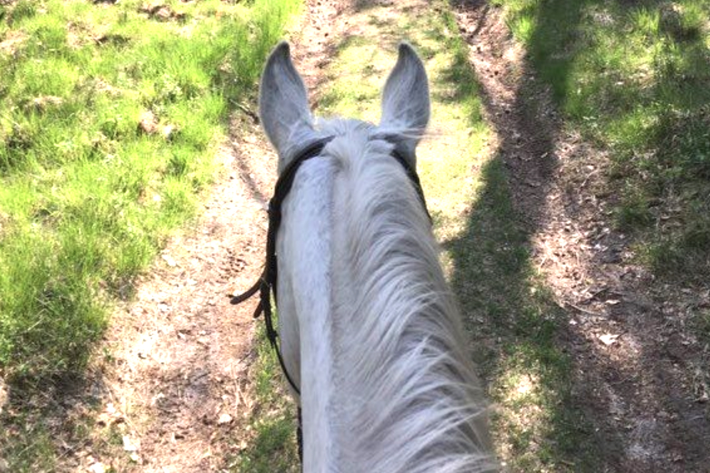 cheval